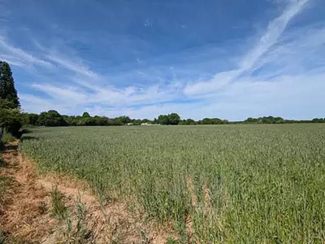Chauvigny 86300 Achat / Vente terrain