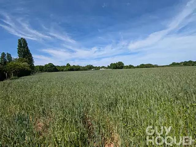 Chauvigny 86300 Achat / Vente terrain