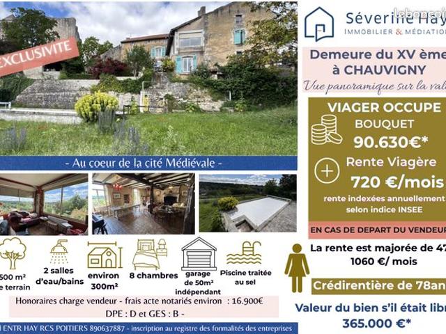 CHAUVIGNY 86 – Demeure du XVᵉ siècle de 300 M² avec vue exceptionnelle Piscine au sel