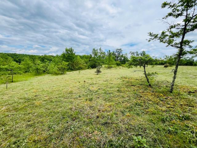 Chavagnac Vente Terrain 24
