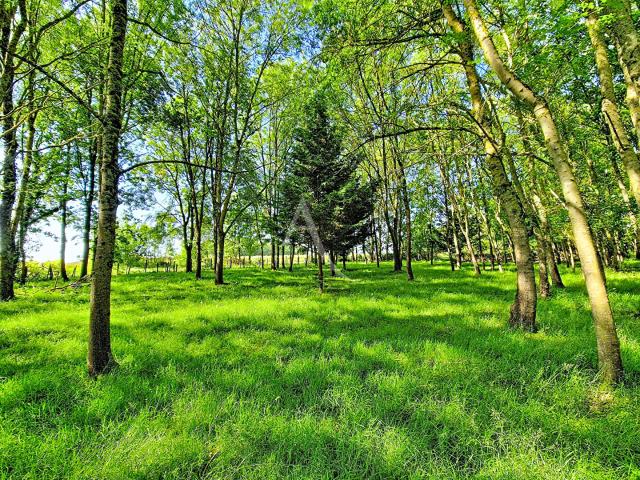 Chavagnes Vente Terrain 49