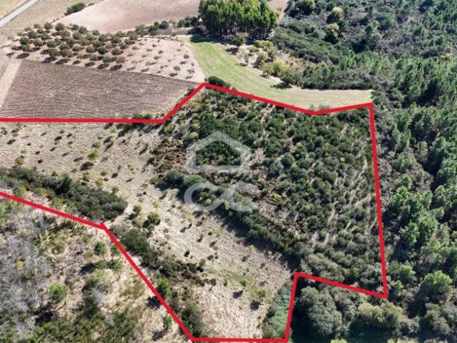 Chaves Vila Real LS66629445