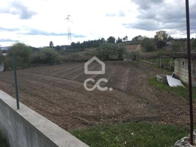 Chaves Vila Real 42686599