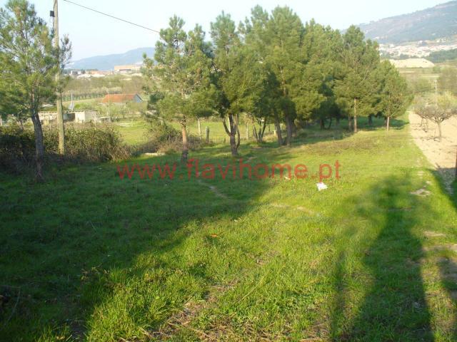 Chaves Vila Real 5400 000 84930122