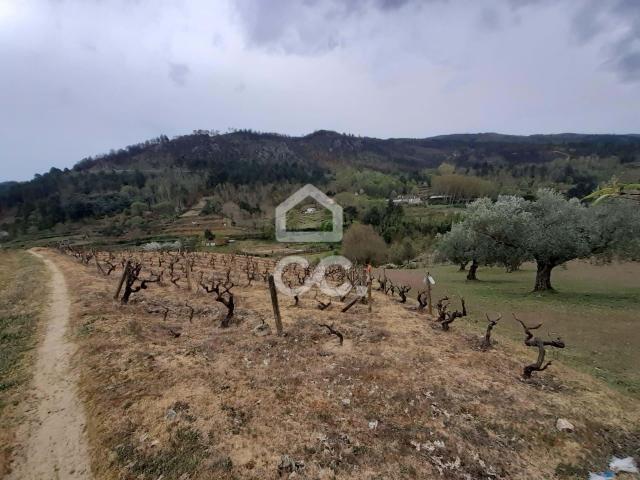 Chaves Vila Real 66629227