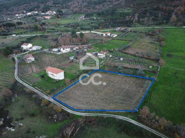 Chaves Vila Real 66629554