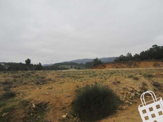 Chaves Vila Real 62839150