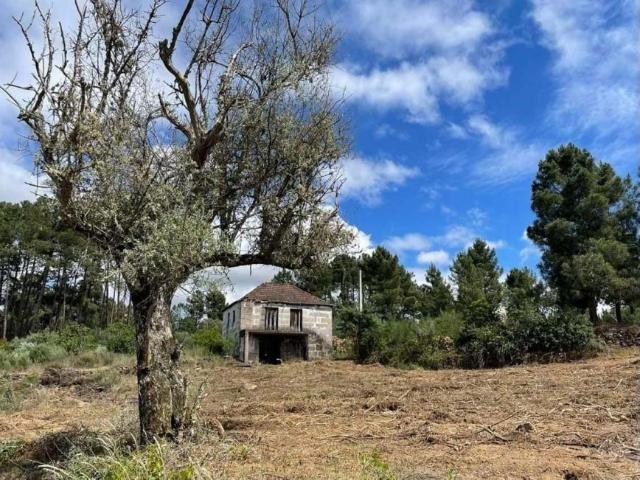 Chaves Vila Real 84044634