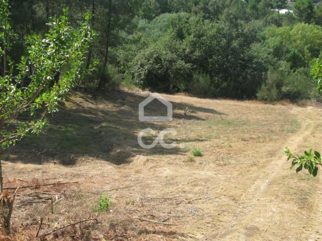 Chaves Vila Real 88034413