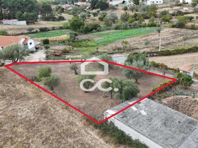 Chaves Vila Real 88034433