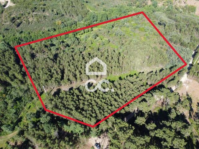 Chaves Vila Real 83184397