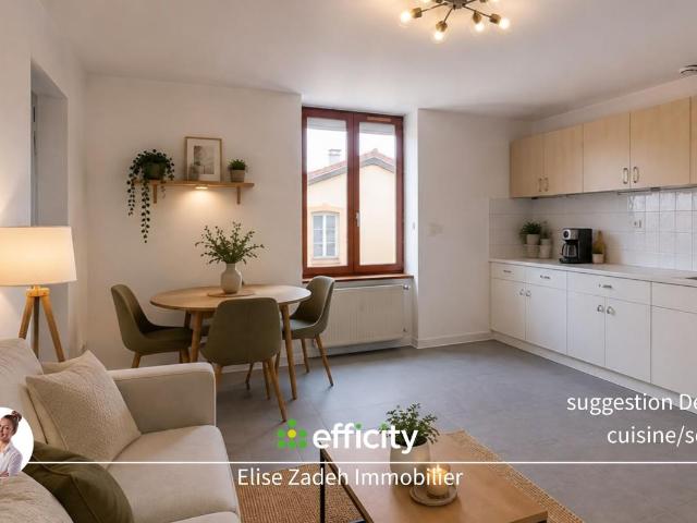 Chazelles sur Lyon Vente Appartement 42