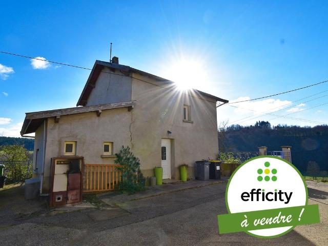 Chazelles sur Lyon Vente Maison 42