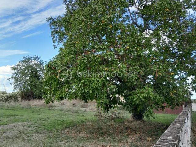 Chabournay Vente Terrain 86