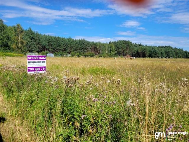 Chabrowa 1 002 m², Czarne Błoto