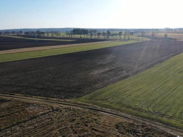 Chabrowa 1 500 m², Zosin