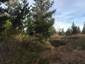 OPORTUNIDAD en EPUYÉN Chacra de 2 Hectáreas 20.000m2 $62.000 USD