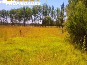 Chacra en Trelew