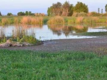 Chacra en venta en Santa Maria de Lobos Club de Polo, Lobos, Provincia de Buenos Aires