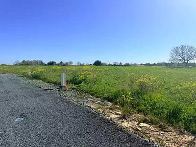 Chaillé les Marais 85450 Programme neuf terrain neuf à vendre