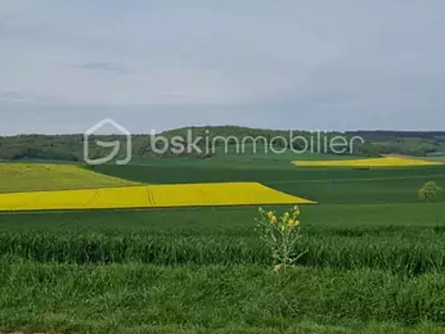 Chailley 89770 Achat / Vente terrain