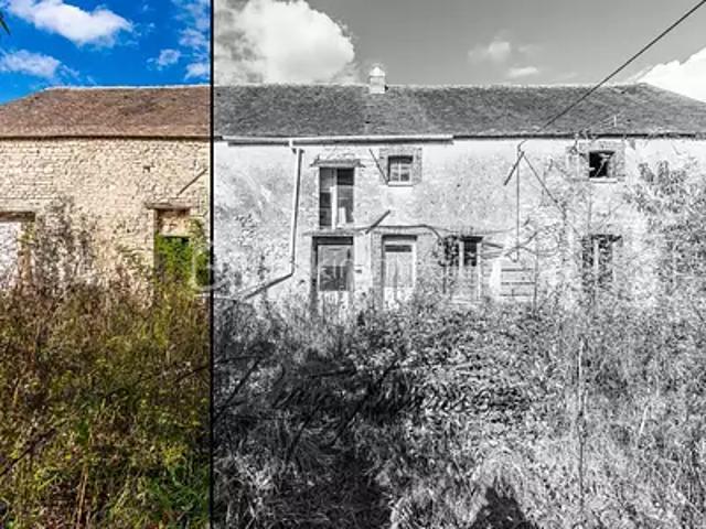 Chaintreaux 77460 Achat / Vente immeuble