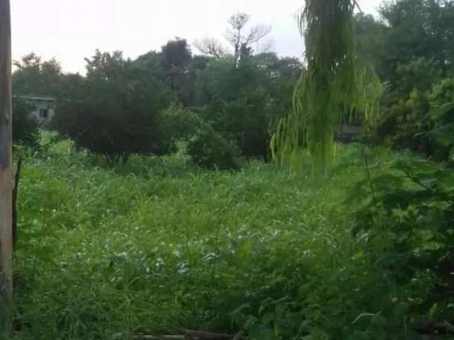 Chak shahzad 20 kanall from hous Islamabad Chak Shahzad ID 16323