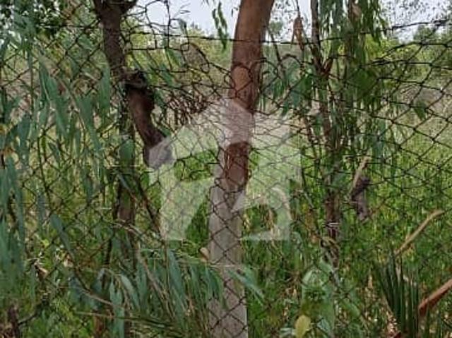 Chak shahzad main park double road farm house plot 40 kanal for sale