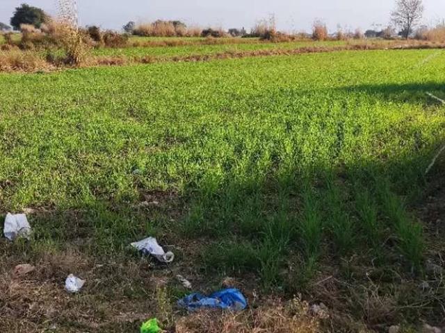 Chakwal road near cadet college Gujar Khan ID 53571