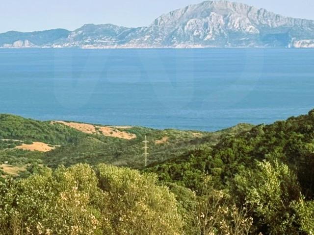 Chalet 3 dormitorios 431 m2