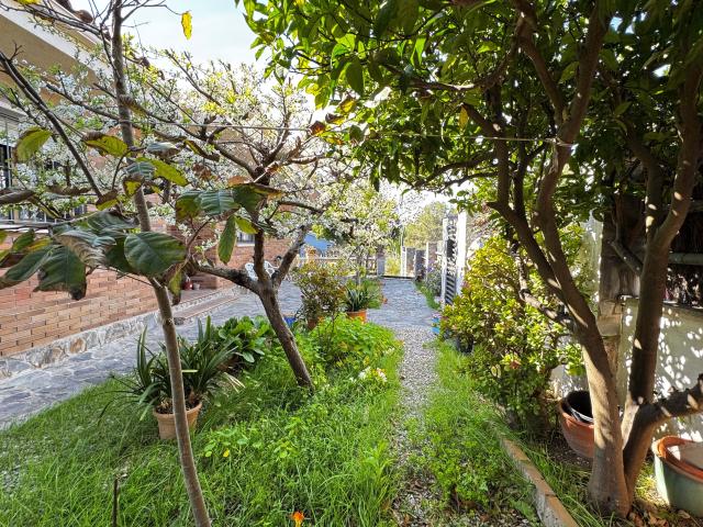 Chalet 3 dormitorios 226 m2