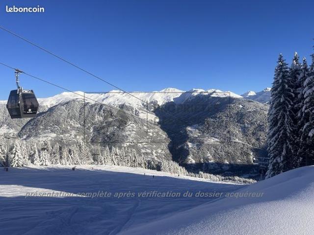Chalet 10 pièces 425 m²
