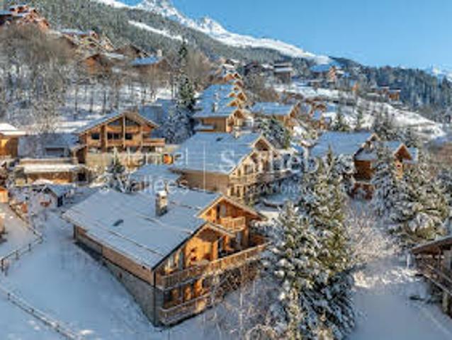 Chalet avec terrasse