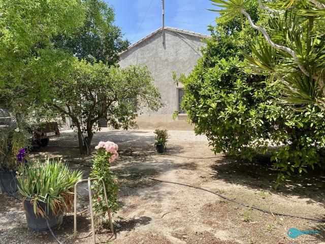 Chalet 350 m² en Elche Elx, Alicante 350m² Elche