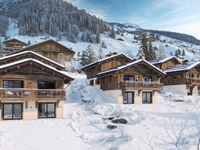 Chalet avec terrasse