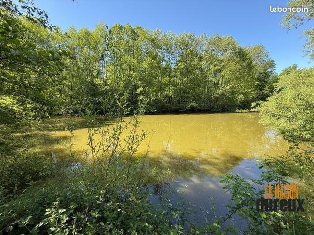 Chalet 4 pièces 75 m²