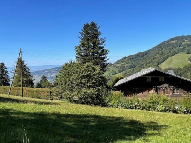 Chalet 5.5 Zimmer