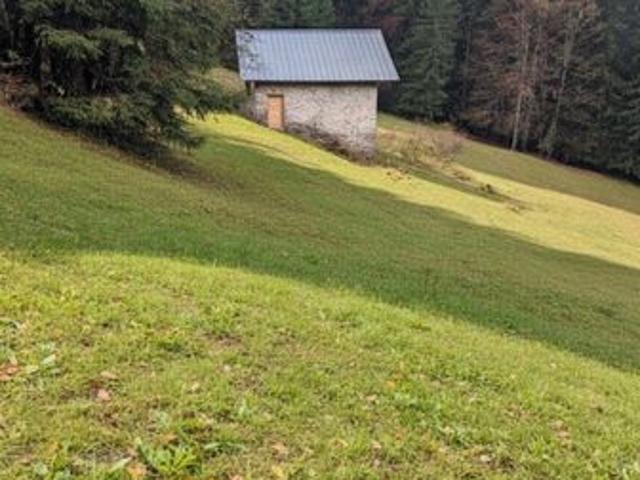 Chalet 5 pièces 250 m²