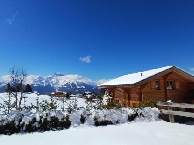 Chalet 6.5 Zimmer