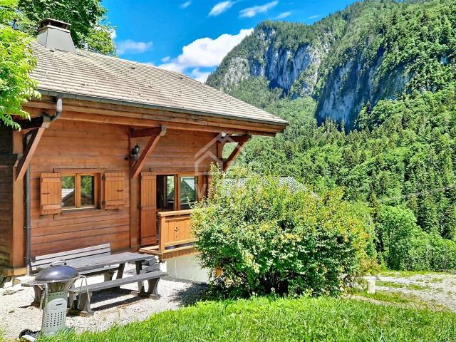Chalet 6 Pieces, Portes Du Soleil, Vue Montagne 75m² Bonnevaux