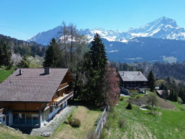 Chalet 9 Zimmer