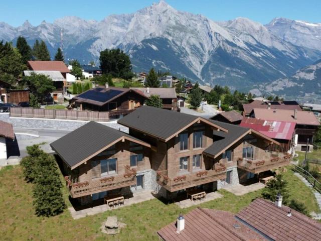 Chalet C – Außergewöhnliche Hauptwohnanlage | Haute Nendaz