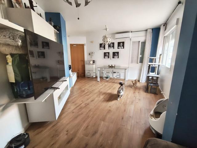Chalet, Cocentaina