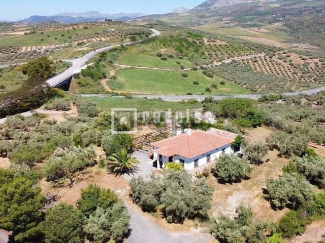 Chalet, Colmenar