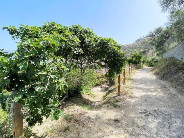 Chalet, Competa