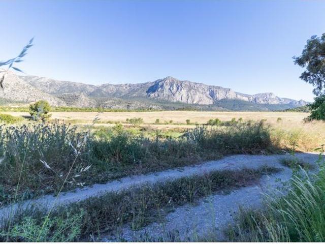 CHALET CON FINCA DE 2 HECTÁREAS EN CASAS NUEVAS