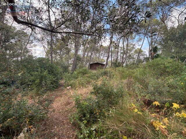 CHALET CON GRAN PARCELA DE 2400 M2
