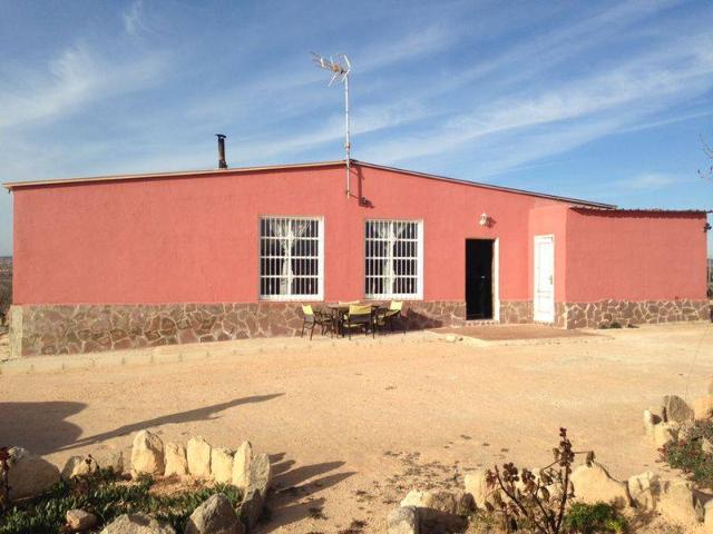 Chalet con terreno plantado