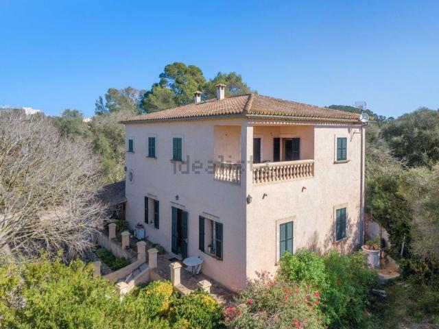 Chalet, Costitx