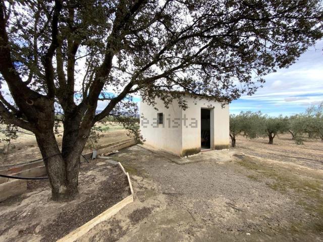 Chalet, Caudete